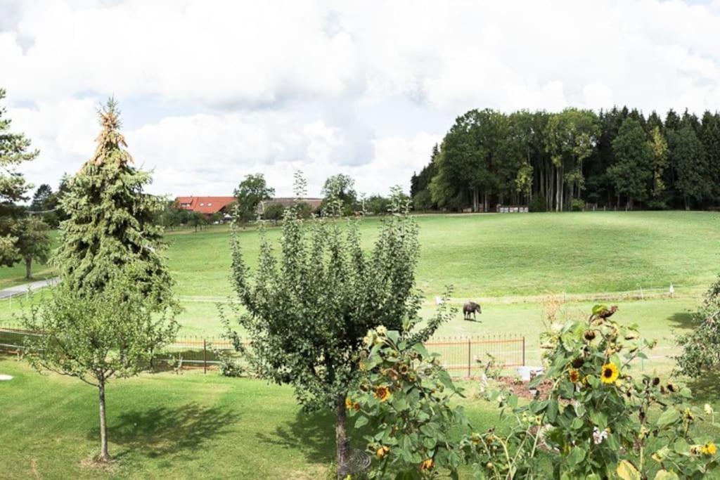 Naturidyl Schneckenbuch Weißensberg Zewnętrze zdjęcie
